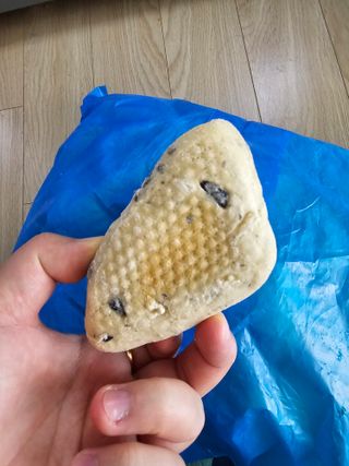 정가람님이 올린 리뷰 사진 2