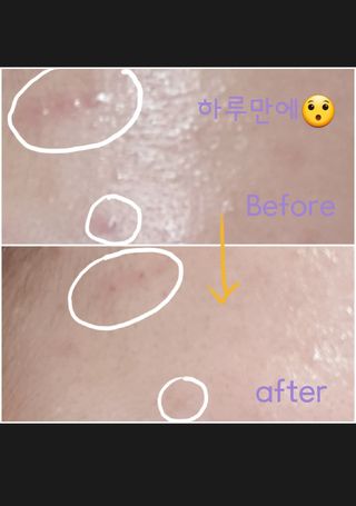 푸룻님이 올린 리뷰 사진 3