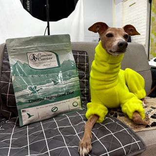 캐닌캐비어 알카라인 홀리스틱 그레이프리 앙뜨레 ALS_4종 오픈스카이, 와일드오션, 프리스피릿, 스페셜니즈 — 5점을 준 리뷰어가 2023년 2월 올린 사용 사진