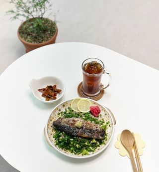 ㈜금호통상 노르웨이 고등어 900g (6~10편) — 5점을 준 리뷰어가 2023년 11월 올린 사용 사진