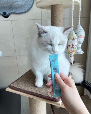 ccoyo님이 올린 리뷰 사진 4