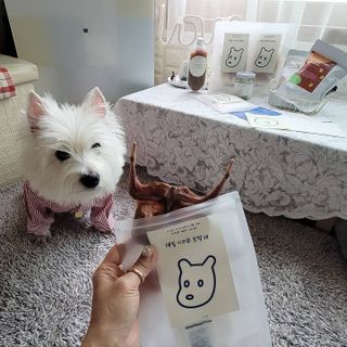 jj스타일님이 올린 리뷰 사진 1