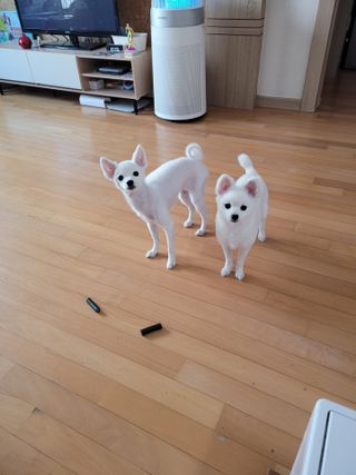 leejr1109님이 올린 리뷰 사진 4