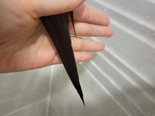 i_am_bboj님이 올린 리뷰 사진 4