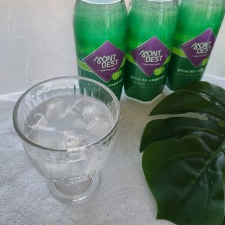 몽베스트 Montbest with Sparkling water Lime20병 — 4점을 준 리뷰어가 2021년 10월 올린 사용 사진