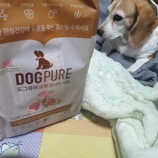 도그퓨어 피부와모질/혼합유산균/글루코사민 유기농 로스팅 사료 — 5점을 준 리뷰어가 2021년 10월 올린 사용 사진