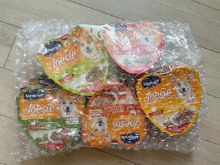 비타크래프트 조에시 하트캔 85g 강아지 습식캔 10캔 — 5점을 준 리뷰어가 2021년 10월 올린 사용 사진