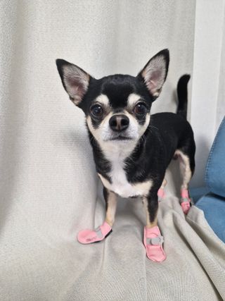 Sori님이 올린 리뷰 사진 1
