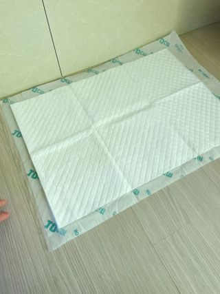 아베크 펫 와이드 프리미엄 중형 애견 강아지 배변 패드 54매 1팩 45g — 4.5점을 준 리뷰어가 2021년 7월 올린 사용 사진