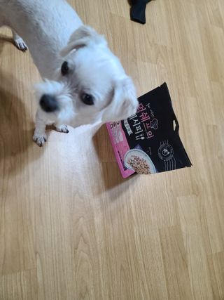 삐랭이님이 올린 리뷰 사진 1
