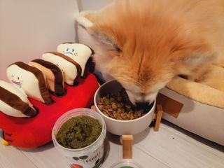 좋아님이 올린 리뷰 사진 4