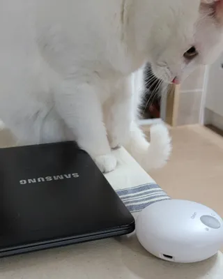 대박이님이 올린 리뷰 사진 4