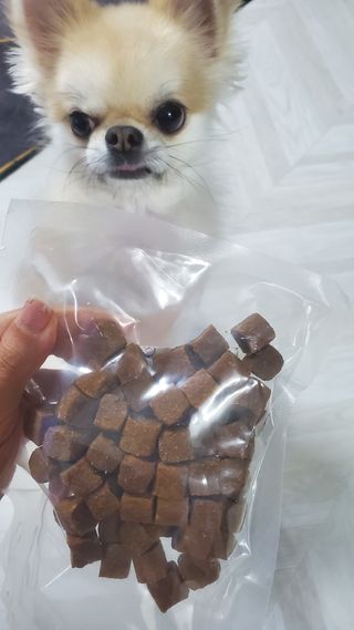 My Pet Care 천연단백질 관절건강에 개좋아 — 5점을 준 리뷰어가 2020년 12월 올린 사용 사진