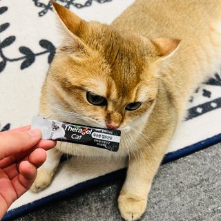 고고고님이 올린 리뷰 사진 3