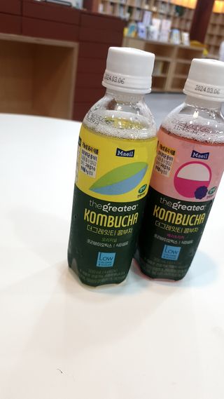 더그레잇티 콤부차 [매일유업] 더그레잇티 44kcal 콤부차 300ml *12개입 (오리지널 6개+베리리치 6개) — 5점을 준 리뷰어가 2023년 8월 올린 사용 사진