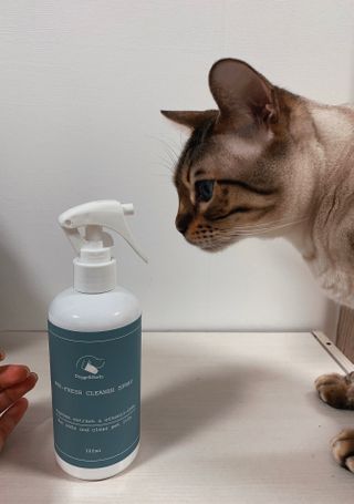 어린이님이 올린 리뷰 사진 1