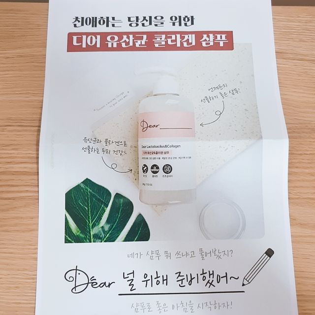 디어 유산균 앤 콜라겐 샴푸 리뷰 사진