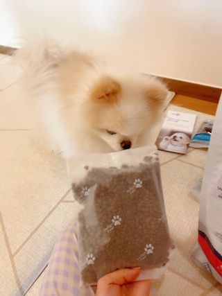 리디아은서님이 올린 리뷰 사진 3
