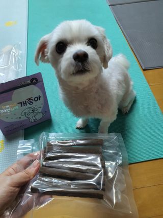 My Pet Care 천연단백질 치아건강에 개좋아 — 5점을 준 리뷰어가 2021년 3월 올린 사용 사진
