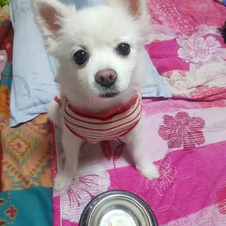 바나나님이 올린 리뷰 사진 1