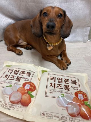 가치식탁 리얼쫀득치즈볼 — 5점을 준 리뷰어가 2021년 2월 올린 사용 사진
