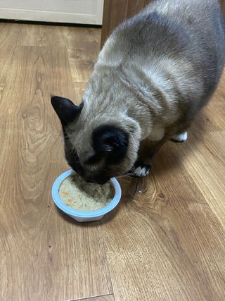 쇼군오마니님이 올린 리뷰 사진 2