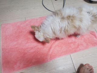 HeeMKwon님이 올린 리뷰 사진 2
