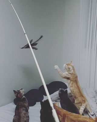 이째님이 올린 리뷰 사진 3