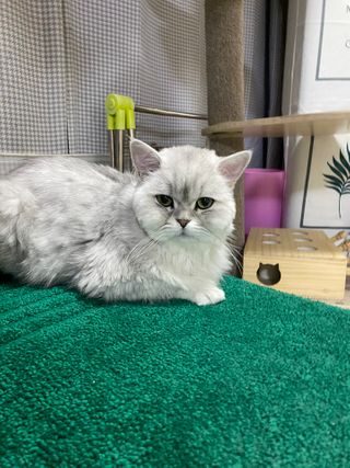 단발소녀님이 올린 리뷰 사진 3