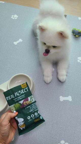 한지수님이 올린 리뷰 사진 2