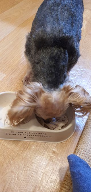포포맘님이 올린 리뷰 사진 3