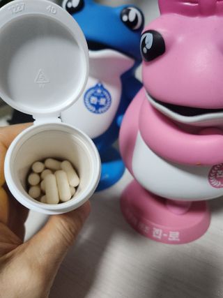 광동생활건강 [광동제약] 컬처렐 데일리프로바이오틱스 325mg * 30캡슐 — 5점을 준 리뷰어가 2025년 6월 올린 사용 사진