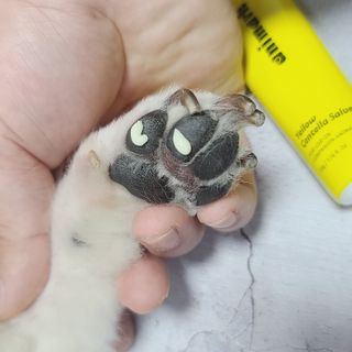 곰같은여우님이 올린 리뷰 사진 3
