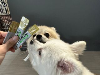 귤맛조님이 올린 리뷰 사진 4