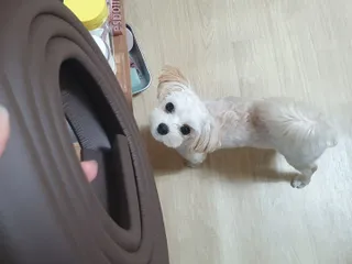 꼬꼬마눈사람님이 올린 리뷰 사진 1