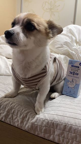 sorJ님이 올린 리뷰 사진 2