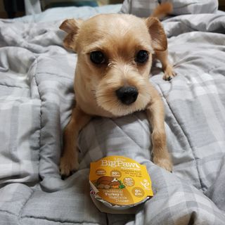 세지니힛님이 올린 리뷰 사진 1