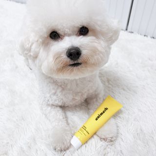 윰쏘님이 올린 리뷰 사진 1