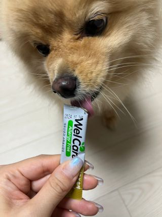 샐리지아님이 올린 리뷰 사진 1