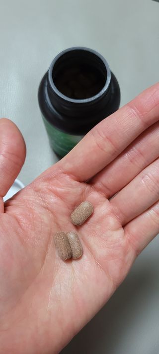 슬림플래닛 녹차카테킨 500mg 애프터밀 — 5점을 준 리뷰어가 2021년 9월 올린 사용 사진