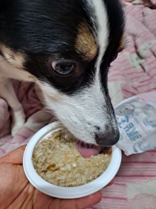 영가님이 올린 리뷰 사진 2