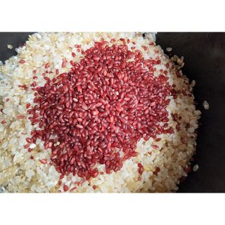 콩콩님이 올린 리뷰 사진 2