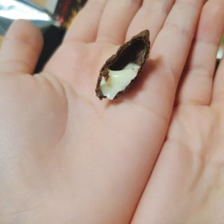 나린마마님이 올린 리뷰 사진 3