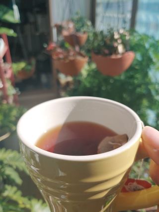 햇님달님님이 올린 리뷰 사진 1