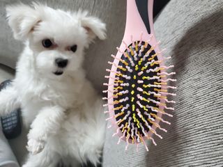 정은a님이 올린 리뷰 사진 3