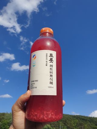 트롯전통식혜 트롯레드비트식혜 1리터 +500리터 — 5점을 준 리뷰어가 2021년 5월 올린 사용 사진