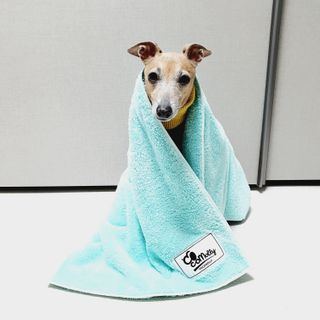 saiio님이 올린 리뷰 사진 1