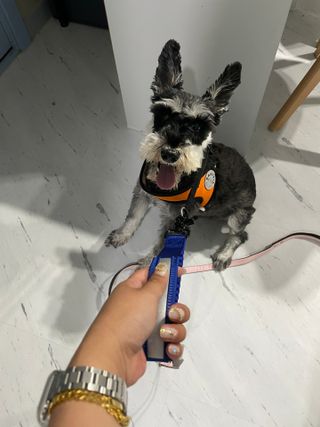 달려라김샨님이 올린 리뷰 사진 2