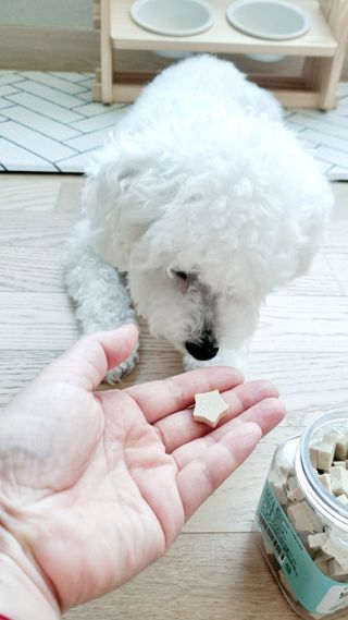 아공별이님이 올린 리뷰 사진 4