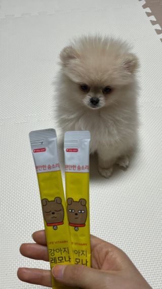 제리님이 올린 리뷰 사진 1
